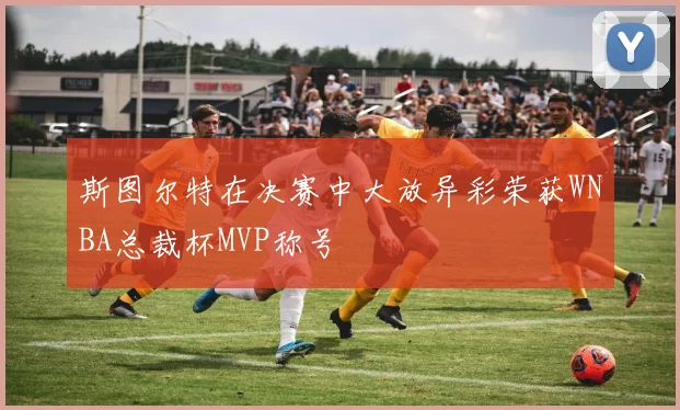斯图尔特在决赛中大放异彩荣获WNBA总裁杯MVP称号