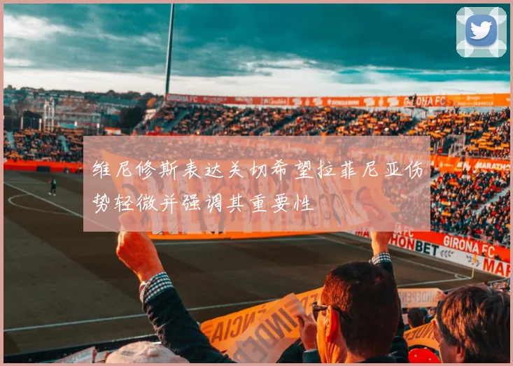 维尼修斯表达关切希望拉菲尼亚伤势轻微并强调其重要性